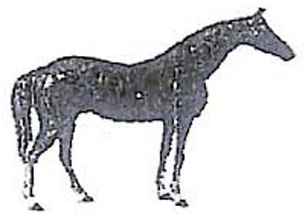 Hubley's Horse doorstop